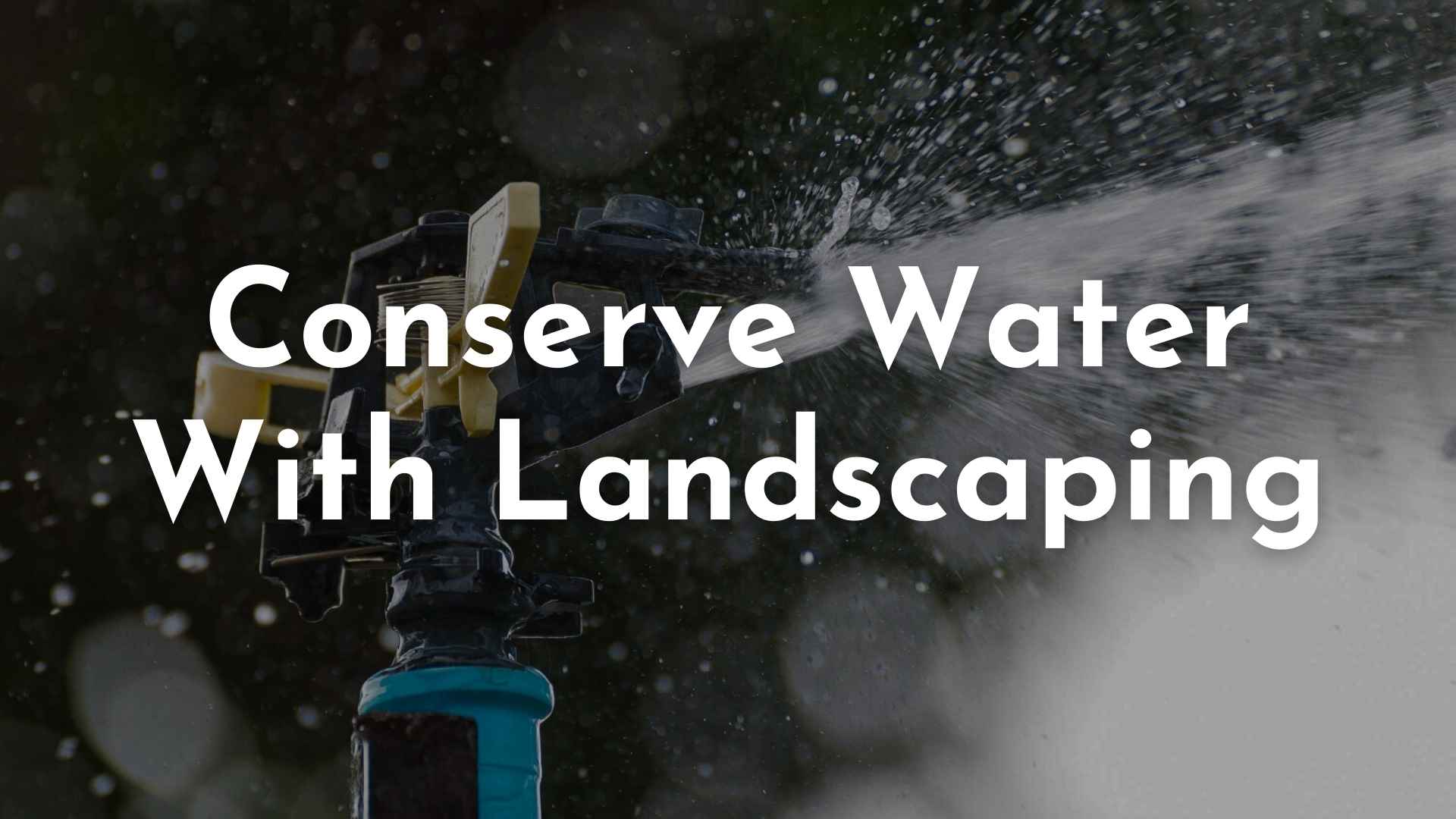 irrigation for a lawn