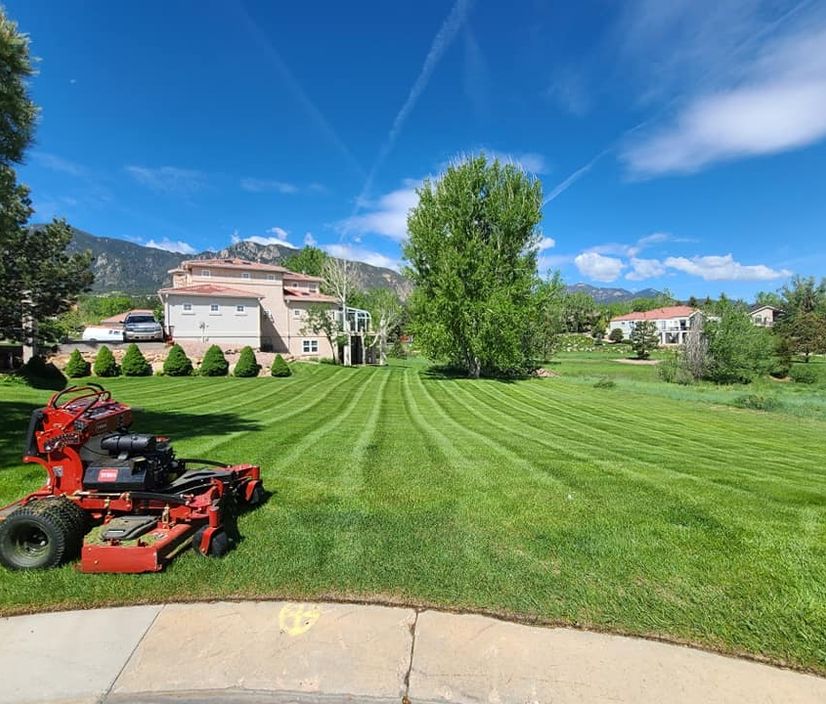 Healthy irrigated lawn maintained by A&R Open Land Mowing