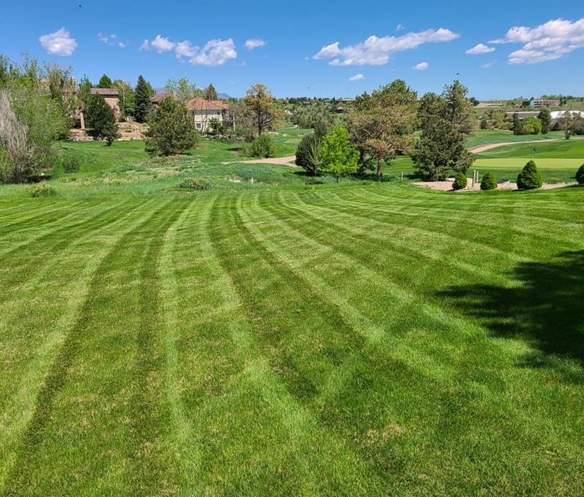 Edged and maintained lawn on a Colorado Springs property