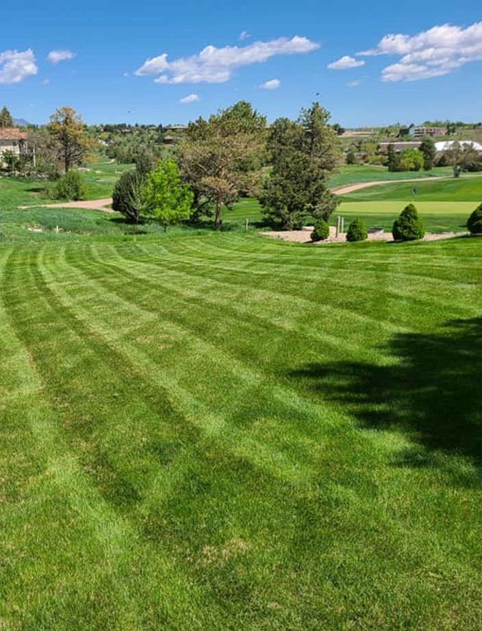 commercial mowing