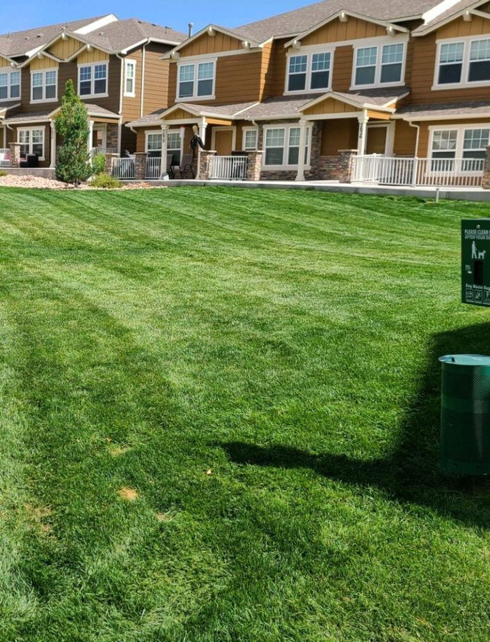 apartment mowing