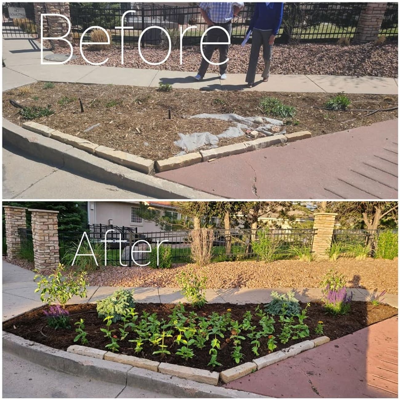 Completed landscape enhancement on a Colorado Springs property
