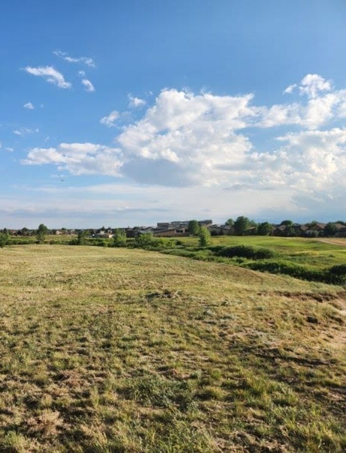Freshly cut native grass open space with mowing rows still visible