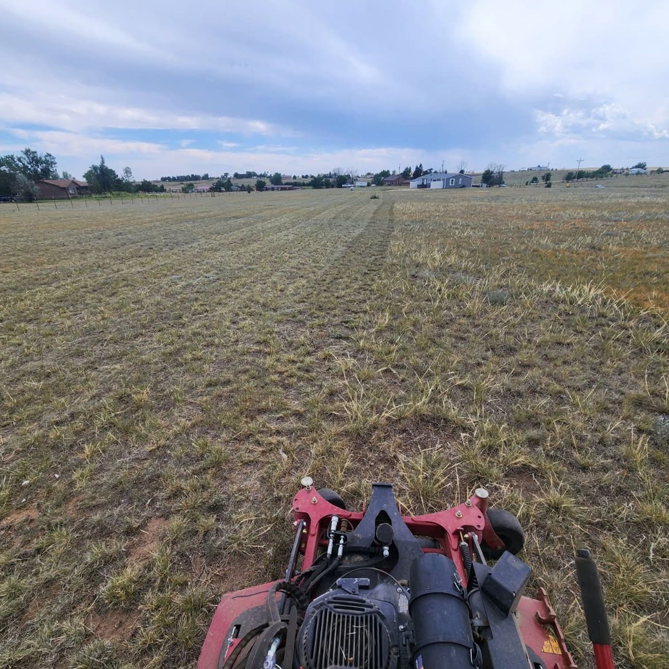 View from the mower deck showing the line between freshly cut and uncut native grass on a Colorado Springs acreage