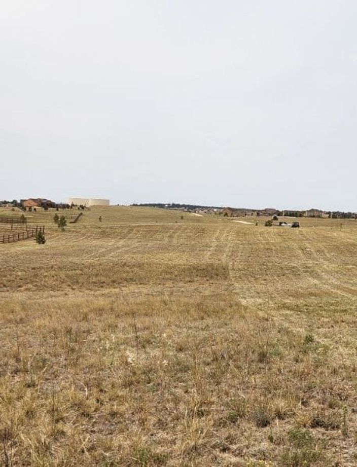 Wide open lot mowed down to a clean, even height next to a Front Range subdivision