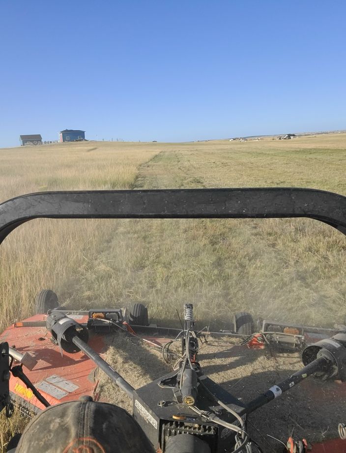 field mowing