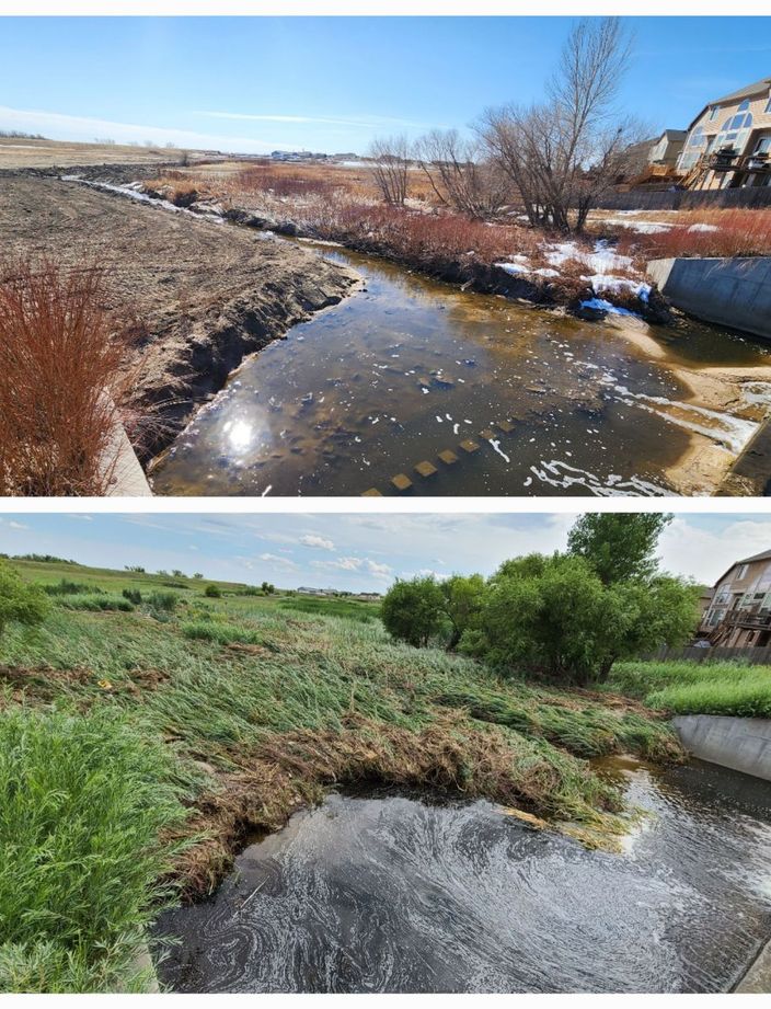 rentention pond before and after
